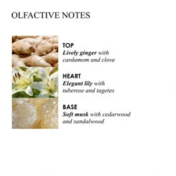 MOLTON BROWN Heavenly Gingerlily Fine Liquid Hand Wash 300 Ml -Modekosmetik 1309714 MOLTON BROWN Heavenly Gingerlily Fine Liquid Hand Wash 300 ml.9e19d409