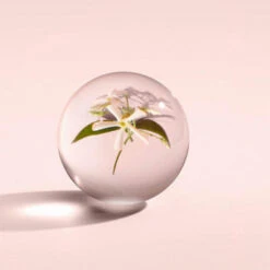 MOLTON BROWN Jasmine & Sun Rose Bath & Shower Gel 300 Ml -Modekosmetik 1394029 MOLTON BROWN Jasmine Sun Rose Bath Shower Gel 300 ml.23ee2910