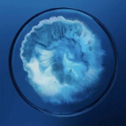 Biotherm Homme Force Supreme Gel 50 Ml -Modekosmetik 1430181 Biotherm Homme Force Supreme Gel 50 ml.ee898f0f